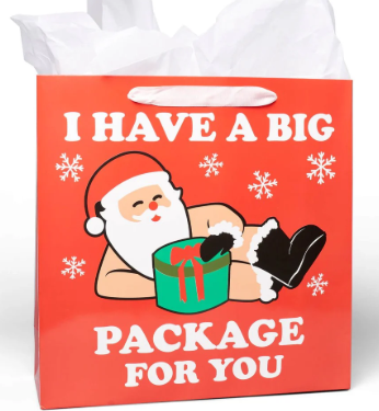 Christmas party swag bag - I Have A Big Package For You
